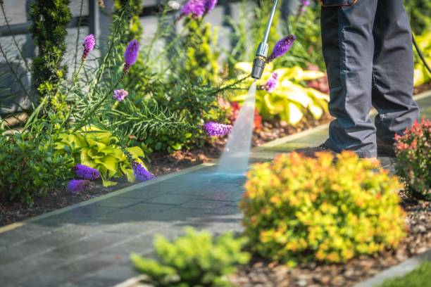 Best Winterizing Services  in Highland Lakes, NJ